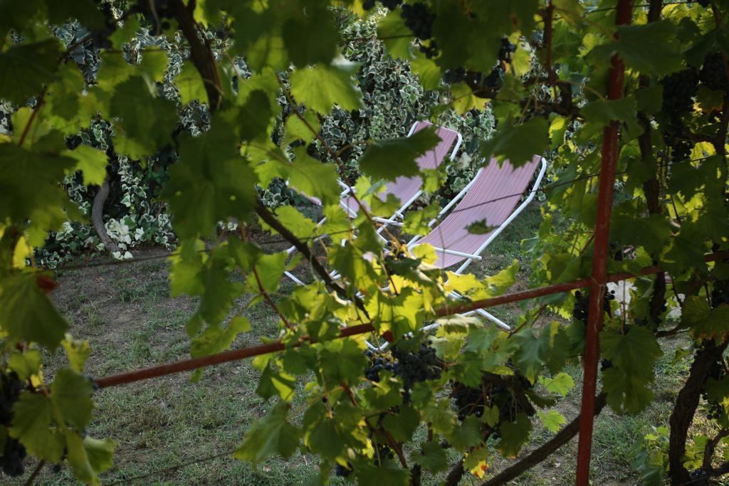 Kucica Ljubcek Villa ปริฟลากา ห้อง รูปภาพ